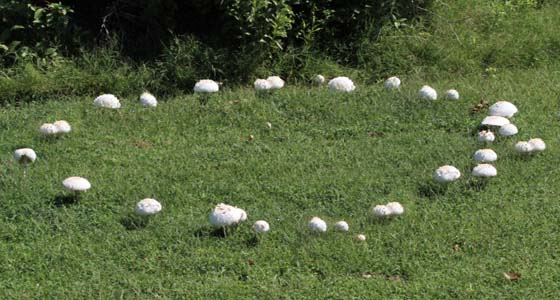 HexenringAufmacheriStockjollyphoto.jpg